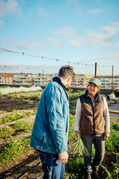istock Growing Together: Rooftop Crops, Sustainable Agriculture, and Two Farmer's Dedication 1501249541