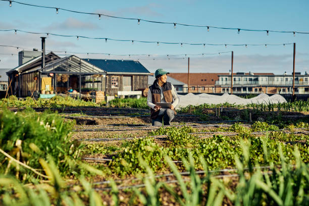 istock Farming in the Digital Age: Urban Agriculture, Biodiversity, and Mobile Technology 1501249551