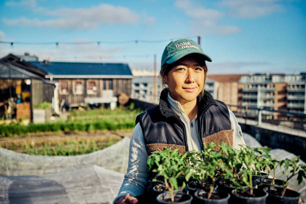 istock Growing Green Cities: Rooftop Crops, Sustainable Agriculture, and Biodiversity 1501249556