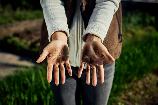 Closeup of female hands showing soil and hard work.