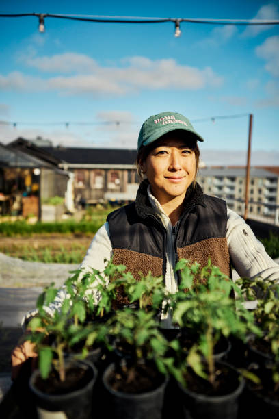 istock Growing Green Cities: Rooftop Crops, Sustainable Agriculture, and Biodiversity 1501249565