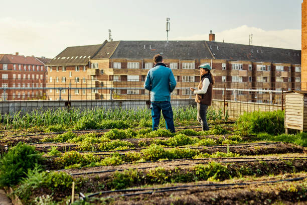 istock Growing Green Cities: Rooftop Crops, Sustainable Agriculture, and Biodiversity 1501249596