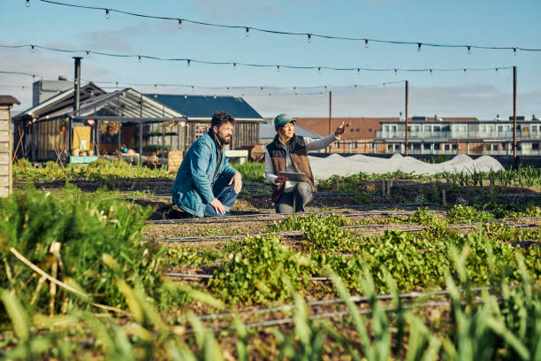 istock Farming in the Digital Age: Urban Agriculture, Biodiversity, and Mobile Technology 1501249635