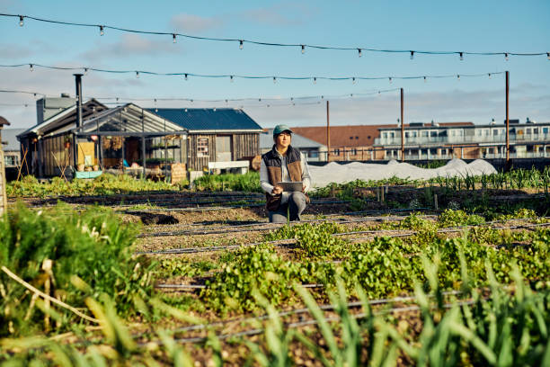 istock Farming in the Digital Age: Urban Agriculture, Biodiversity, and Mobile Technology 1501249662