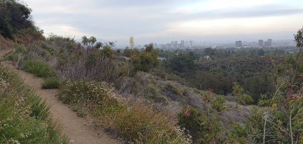 istock Backbone Trail Santa Monica Mountains 1501253602