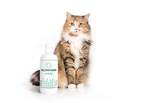 Fluffy calico kitty sitting behind pump bottle with fake pet supplement label for cats and dogs to promote animal health. Selective focus. Isolated.