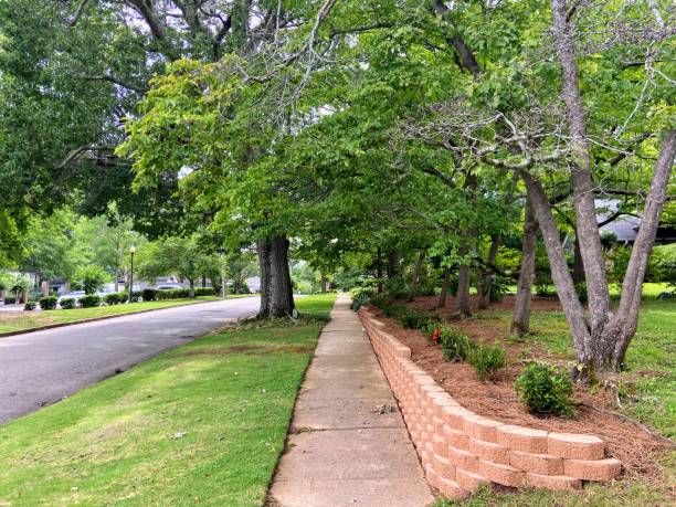 istock Neighborhood in Anniston, Alabama 1501267796