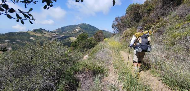istock Backbone Trail Santa Monica Mountains 1501274823