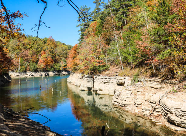 istock hiking through rivers and trees 1501315709