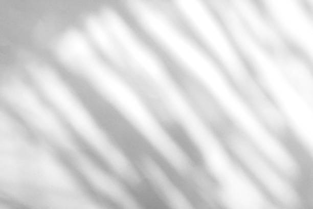 istock Shadow of palm leaves sway in the wind on white background 1501346647