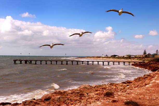 istock Port Victoria Pier and Coastline 1501384326