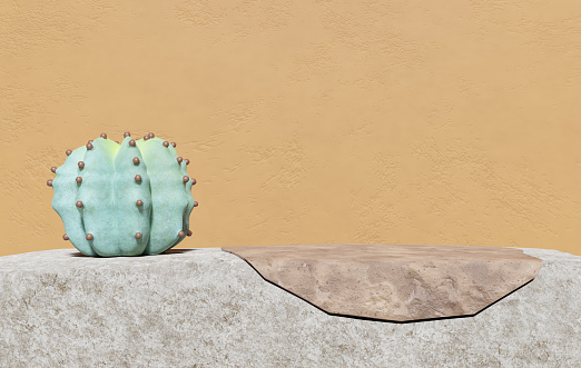 Abstact 3d render Natural poduim background, Alone cactus on the crack rock for product display, mockup, advertising or etc