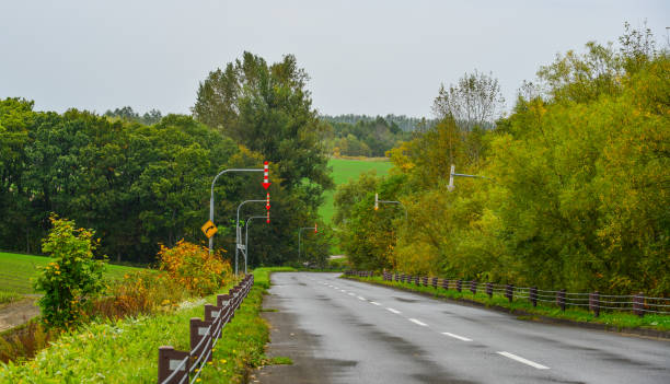istock Rural road in Hokkaido, Japan 1501386491