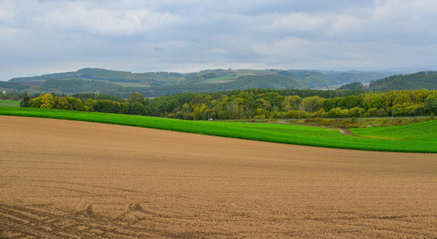 istock Rural scenery in Biei, Japan 1501386558