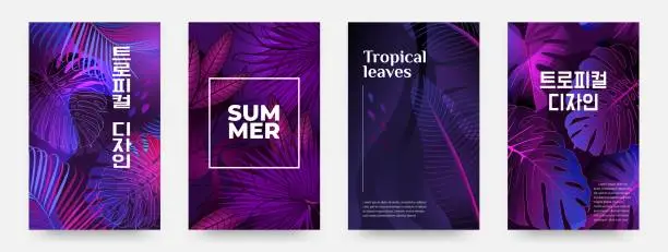 Vector illustration of Tropic patterns, brazil jungle background. Safari or hawaii beach leaf, green banana and monstera purple leaves for party card. Botanical covers, fashion poster, vector illustration design