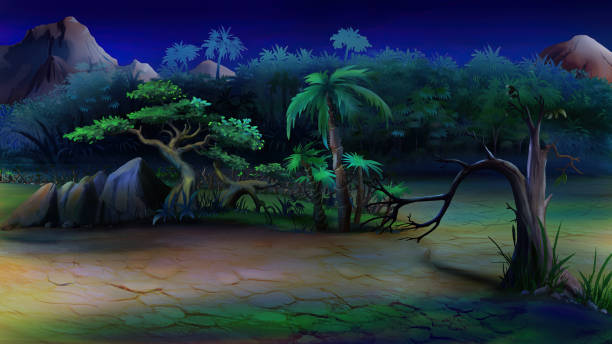 istock Green Plants in the sand in the African savannah at night 1501393911