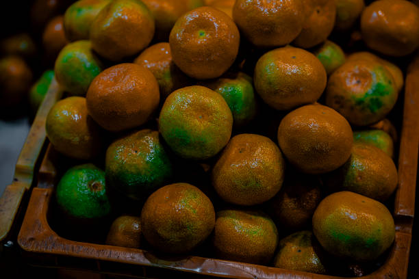 Tangerine fruits