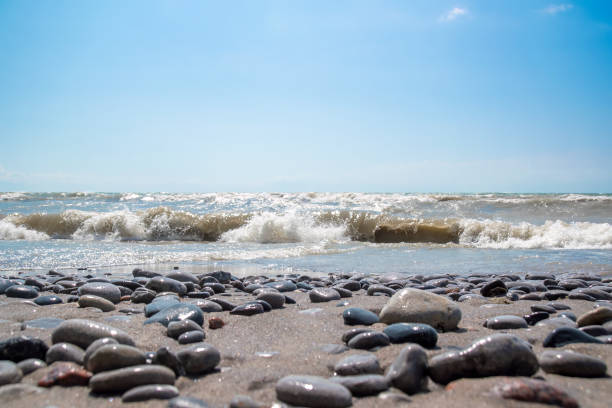 A bunch of rocks lay on a sandy beach in Grafton, Ontario on a bright sunny day.