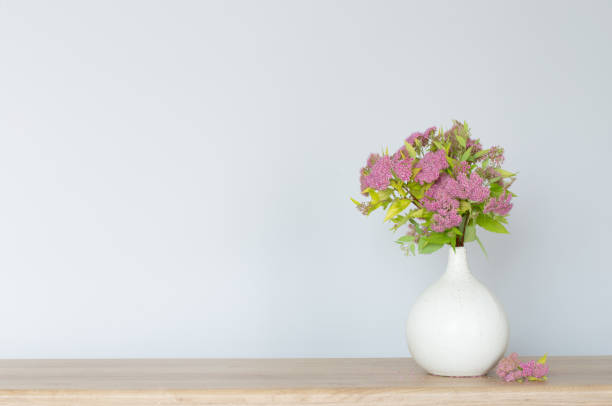 istock pink spirea in white vase on wooden shelf 1501448190