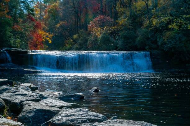 istock River flowing through a lush green forest with a small cascade 1501450499