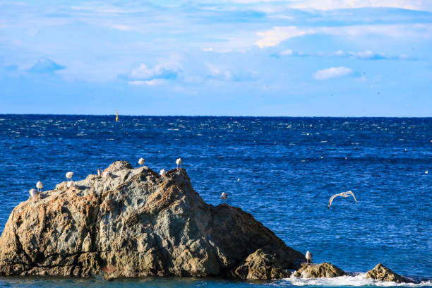 istock Italy Cinque Terre Monterosso al Mare 1501450916