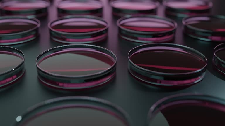 Experimental cell culture scene. Image for regenerative medicine and drug discovery research.