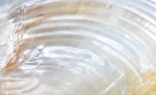 abstrakter perlweißer texturhintergrund - pearl oyster shell white stock-fotos und bilder