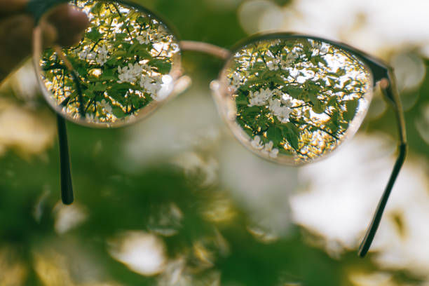 istock Looking in myopia glasses on garden in focus 1501462771
