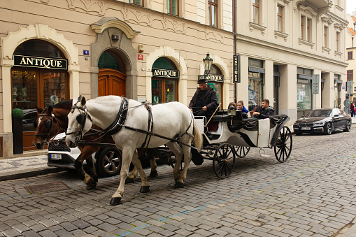 Czech Republic, Prague 08.10.2022. Two horses and the carrier at the Old tows Square in Prague.