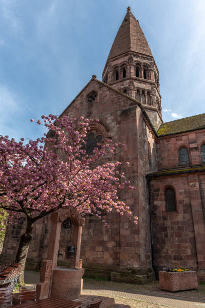istock Cherry blossom in an old square with a medieval well in spring. 1501489286