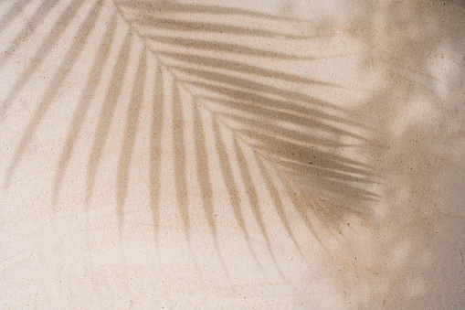 Abstract palm shade texture on sandy background.