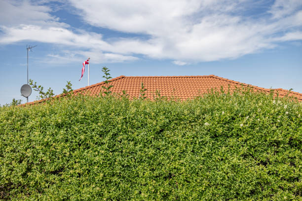 Red roof of a detached house behind a green hedge with a dish antennae and a Danish pennant in a suburb to Copenhagen