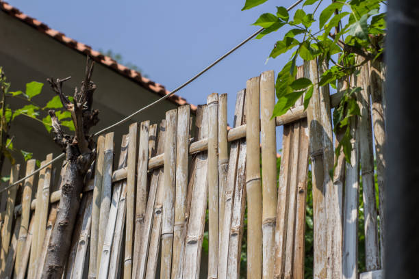 istock Very strong bamboo fence 1501495659