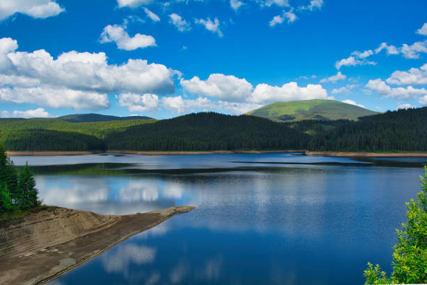 istock lake in the forest 1501542691