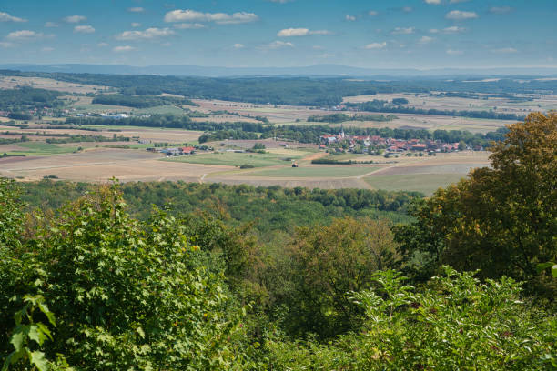 istock summer landscape franconia 1501544976