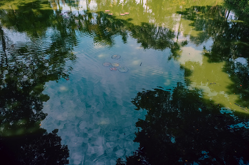 The tranquil scene of the pond is artfully captured by the shimmering water as it mirrors both the sky and the trees' shade. Abstract background from reflections on the water surface.