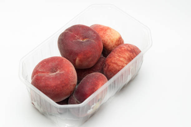Vegan snacks in a plastic box