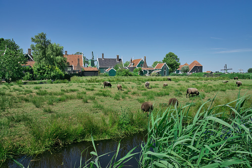 Ships and Windmills in Nethelands Niederlande Holland old Architecture