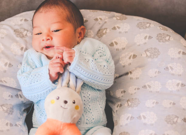 istock Newborn baby lying down with a rabbit toy in his hands 1501634807