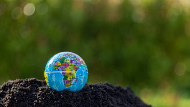 istock The small globe, earth is on hand, grass, leaf. The globe has maps on it and environmental map. The earth map shown geography continents, countries. The globe ball is the symbol of our planet earth. 1501639418