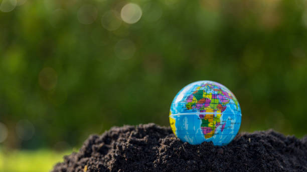 istock The small globe, earth is on hand, grass, leaf. The globe has maps on it and environmental map. The earth map shown geography continents, countries. The globe ball is the symbol of our planet earth. 1501639498