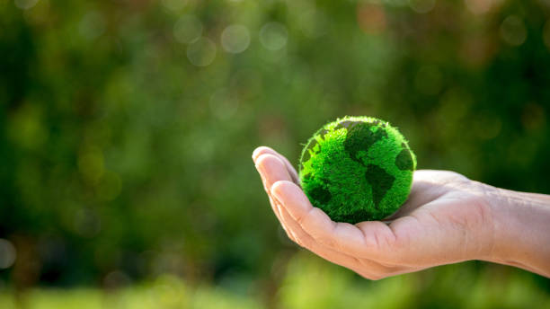 istock The small globe, earth is on hand, grass, leaf. The globe has maps on it and environmental map. The earth map shown geography continents, countries. The globe ball is the symbol of our planet earth. 1501639505