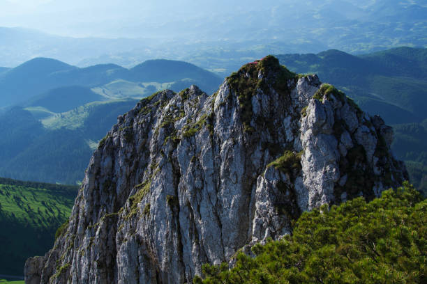 istock Southern Ridge, Piatra Craiului Mountains, Romania 1501654037