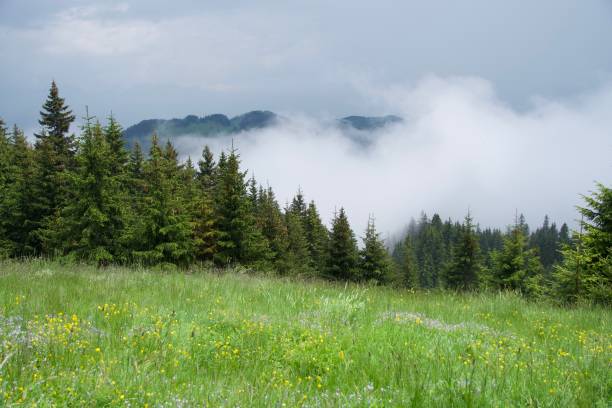 istock Grind 1 Refuge, Piatra Craiului Mountains, Romania 1501658077