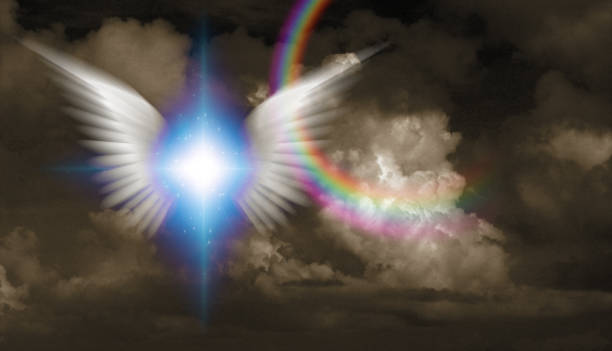 White angels wings stock photo