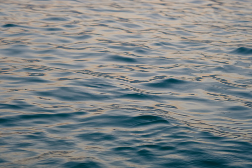 the surface of the sea water is bluish with calm wave ripples.