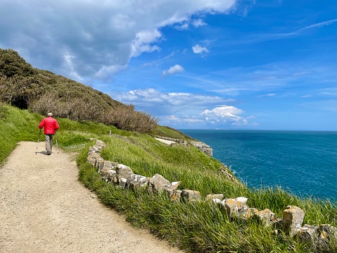 Spectacular spring walk in the Durlston Castle Historic Landscape and National Nature Reserve stretching along the coastline south of Swanage, on the Isle of Purbeck in Dorset. The Isle of Wight can be seen in the distance below a cumulous cloud.