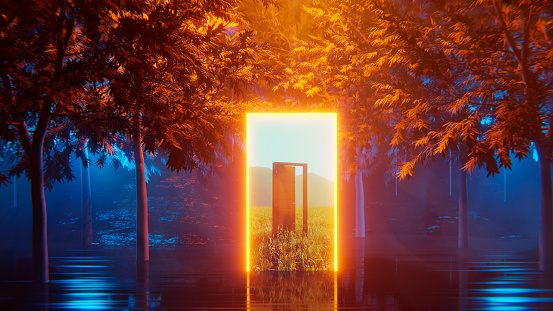 Portal glows and shows an entrance to another world. Inside the portal is a door. The portal stands among trees in a forest. It is night and the forest is illuminated by neon lights.