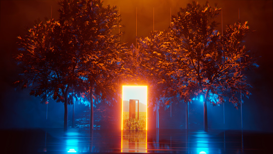Portal glows and shows an entrance to another world. Inside the portal is a door. The portal stands among trees in a forest. It is night and the forest is illuminated by neon lights.