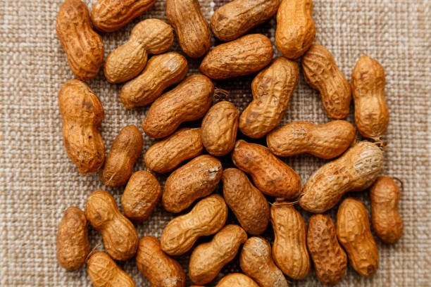 istock peanuts in shell - leguminous plant food 1501691247
